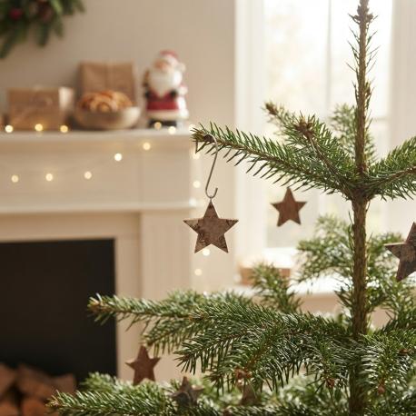 Decoratie sterren naturel gebruik: Decoratie sterren naturel